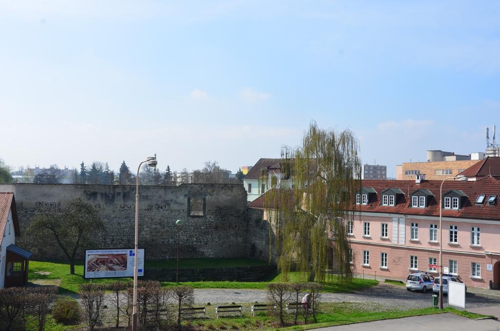 Guesthouse Zlaty Hrozen Ceska Lipa Exterior photo